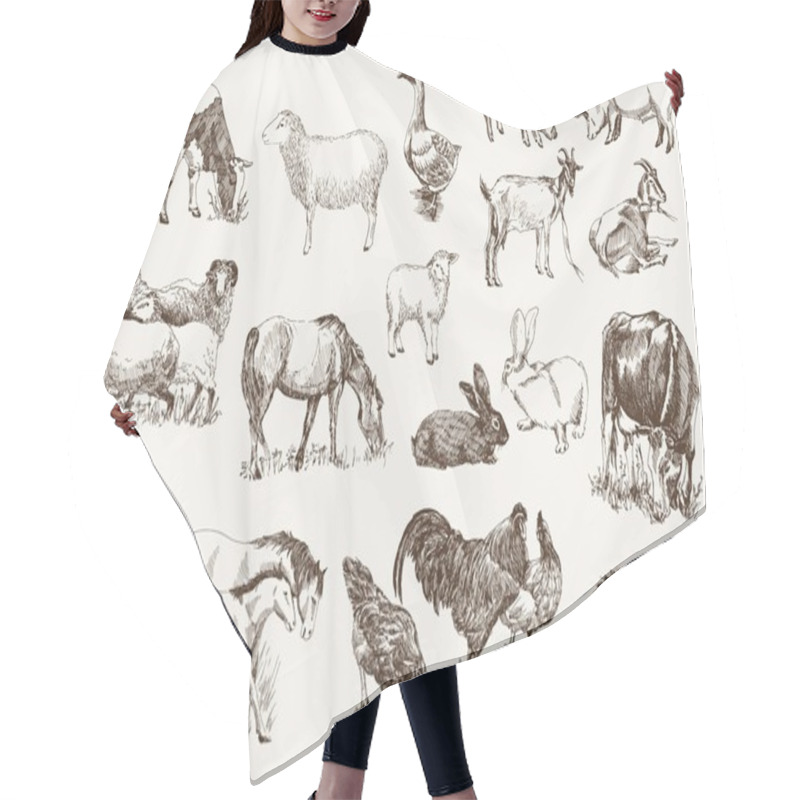 Personality  Farm Animals Hair Cutting Cape