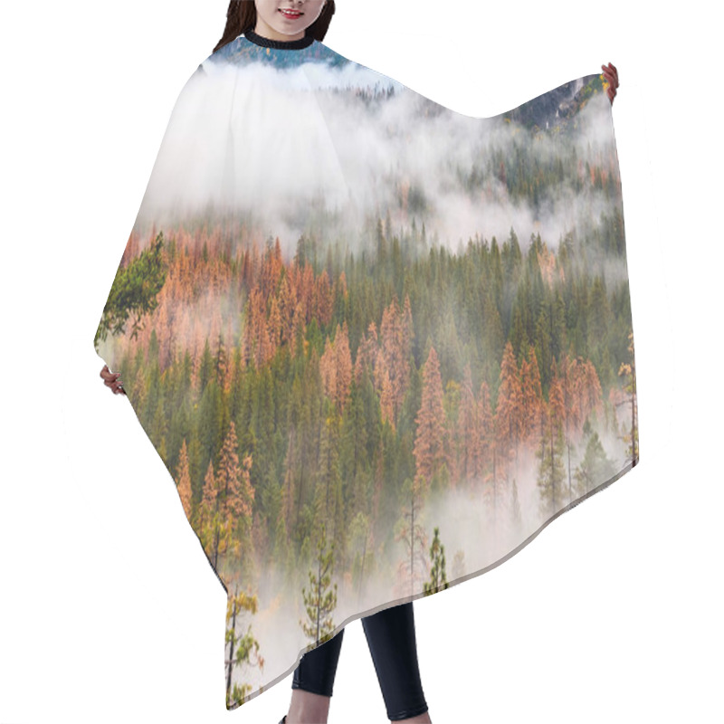 Personality  Yosemite National Park  Hair Cutting Cape