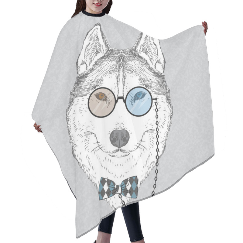 Personality  Fashion Portrait Of Husky Hair Cutting Cape