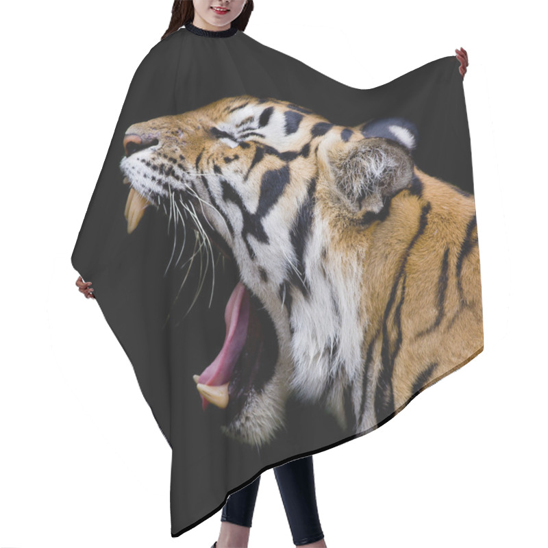 Personality  Sumatran Tiger Roaring Hair Cutting Cape