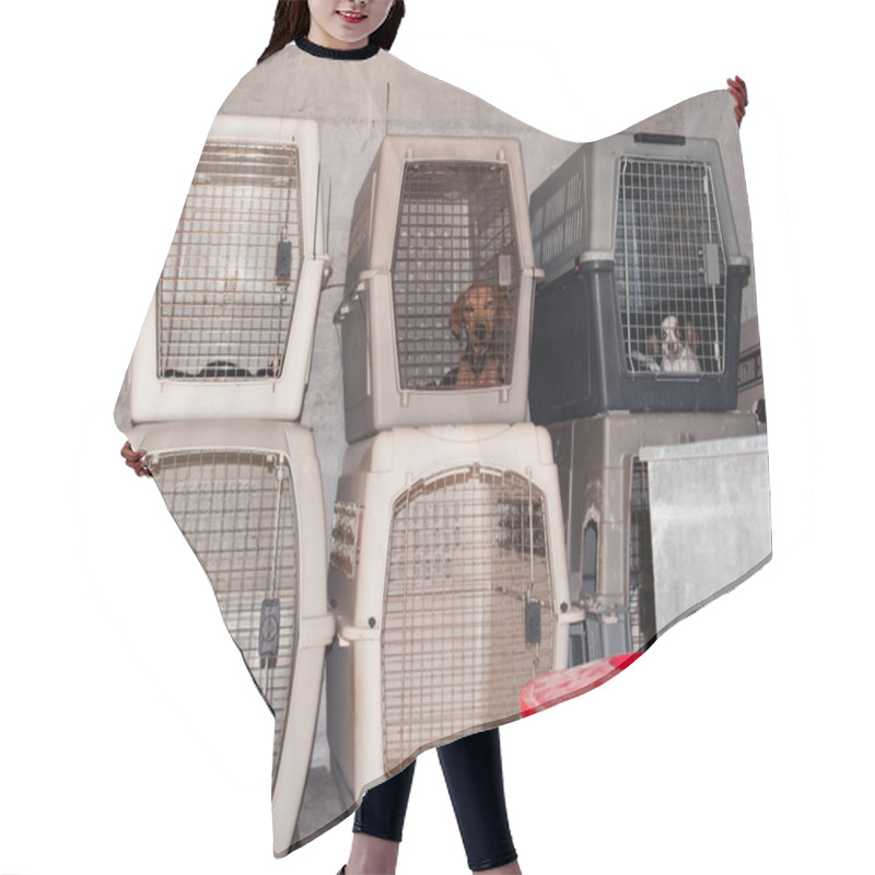 Personality  Dog Cages Hair Cutting Cape