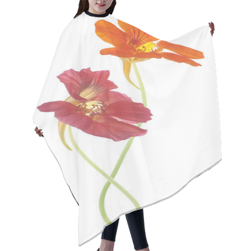 Personality  Nasturtium Hair Cutting Cape