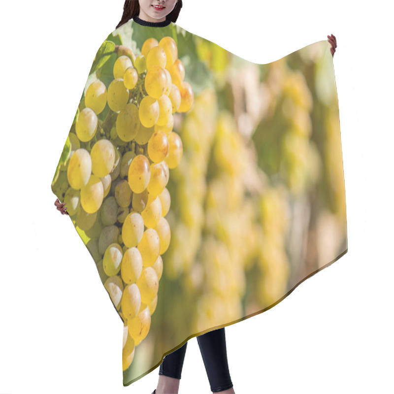 Personality  Gold Grapes On The Vine Hair Cutting Cape