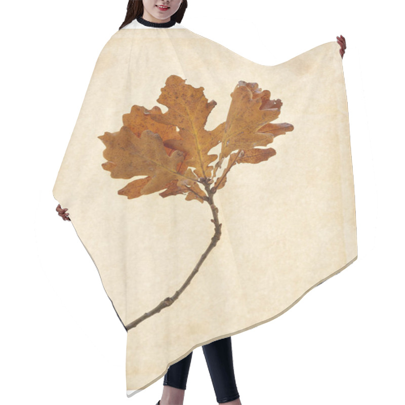 Personality  Leaves Yellow Brown Dried Weathered Autumn Art Oak Foliage Hair Cutting Cape