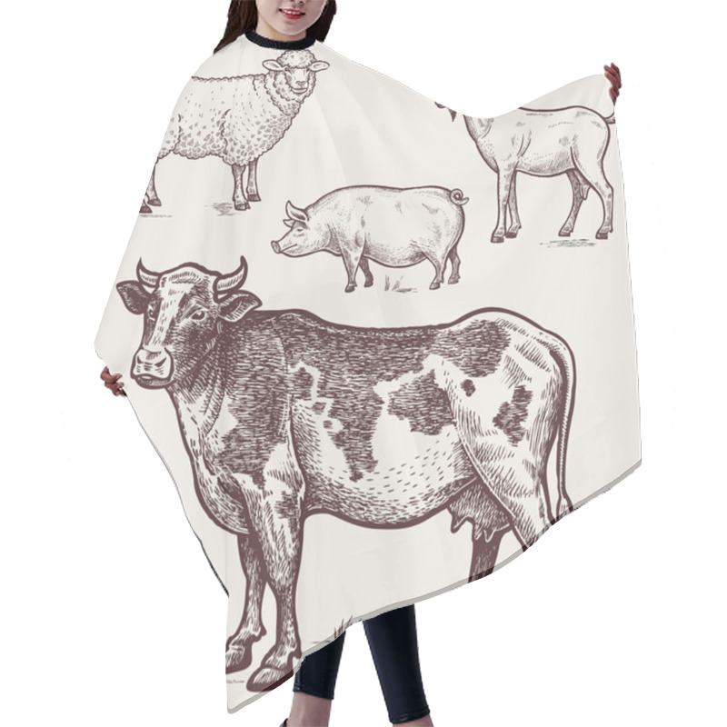 Personality  Set Poultry - Cow, Sheep, Pig, Goat. Farm Animals Hair Cutting Cape