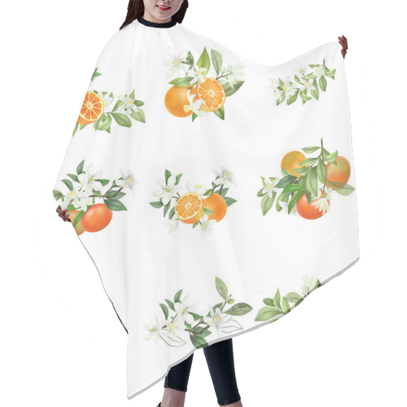 Personality  Hand Drawn Bouquets And Compositions Of Blooming Mandarin Tree Branches Isolated On A White Background Hair Cutting Cape