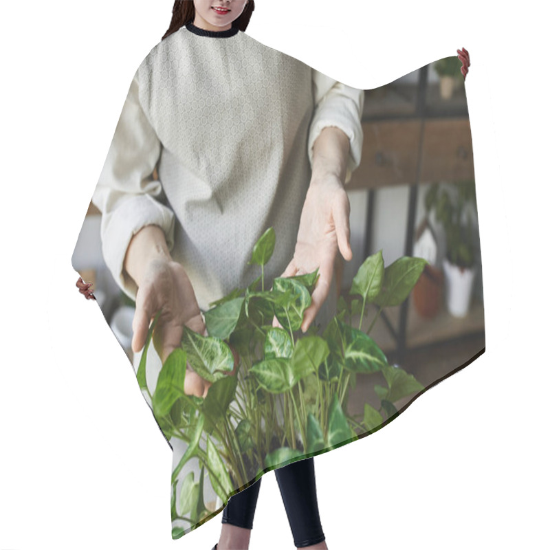 Personality  Woman Lovingly Cares For Her Thriving Plants In A Bright, Inviting Space. Hair Cutting Cape