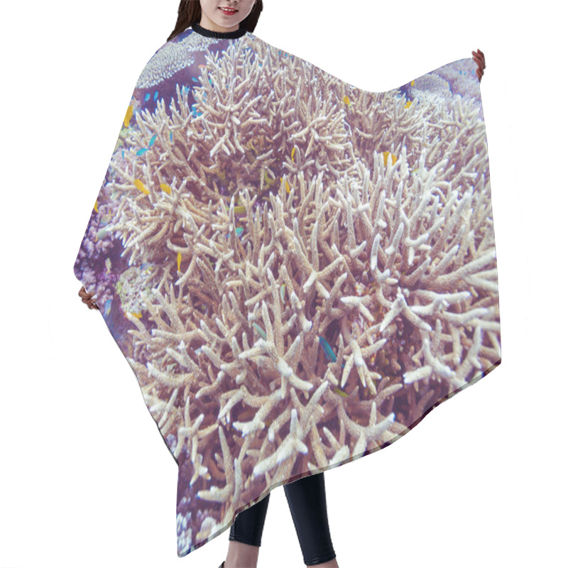 Personality  Underwater Landscape With Hundreds Of Fishes Hair Cutting Cape