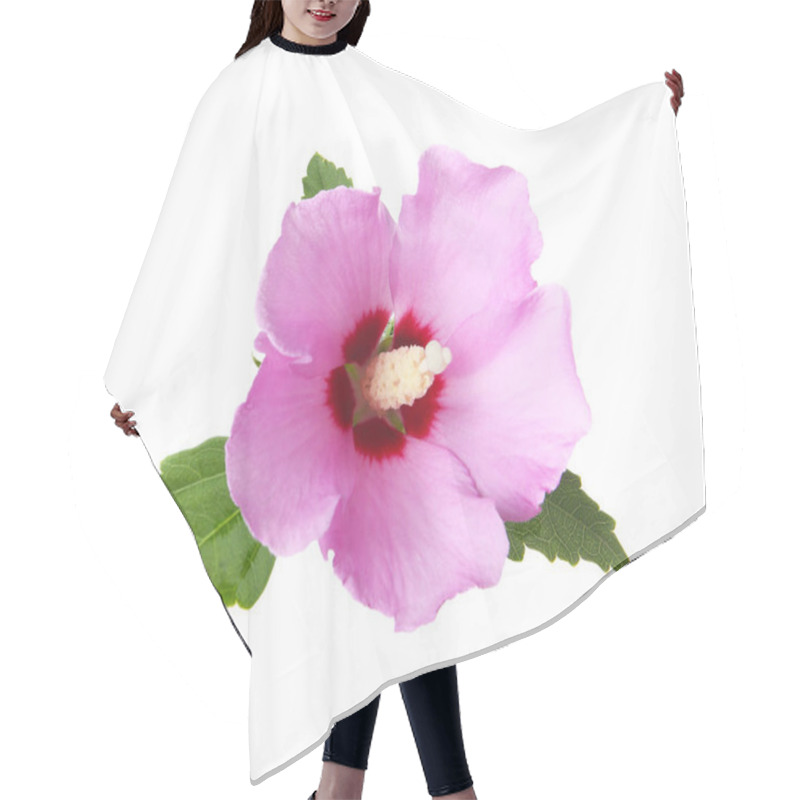 Personality  Beautiful Tropical Hibiscus Flower On White Background Hair Cutting Cape