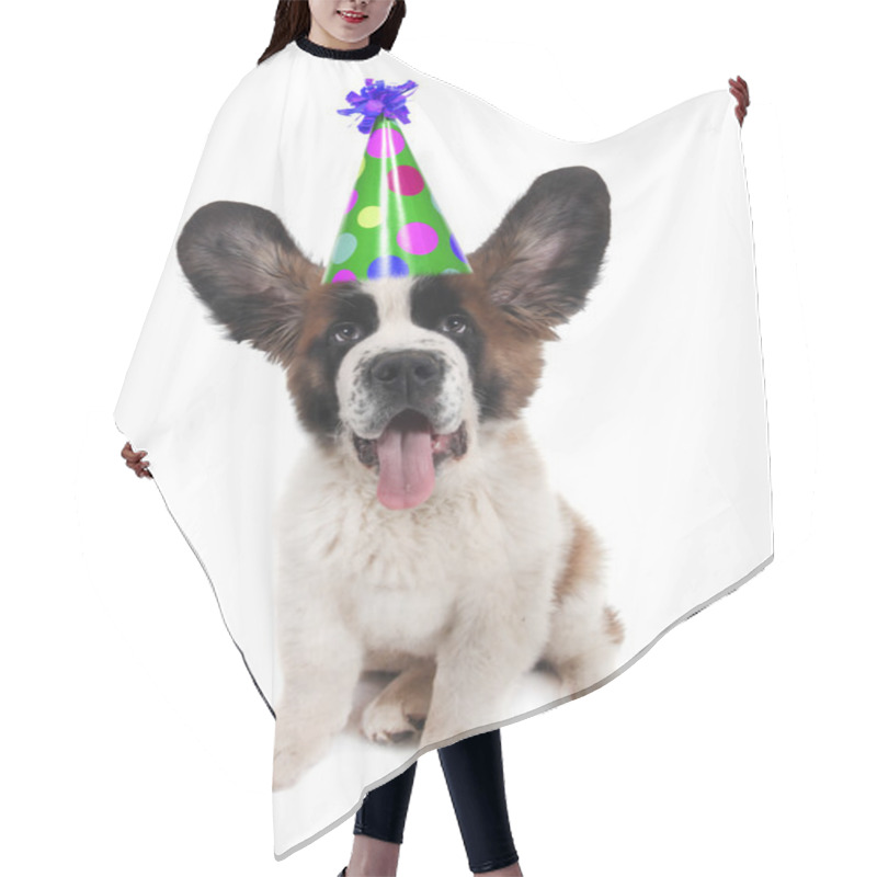 Personality  Saint Bernard With A Birthday Hat Hair Cutting Cape