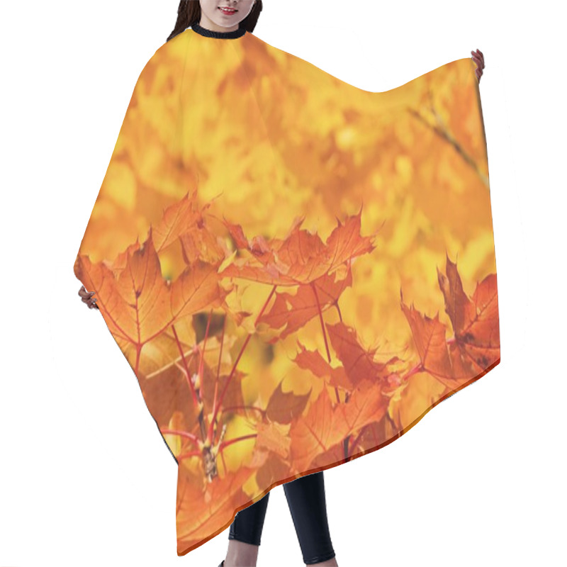 Personality  Ahornblatt - Maple Leaf 16 Hair Cutting Cape