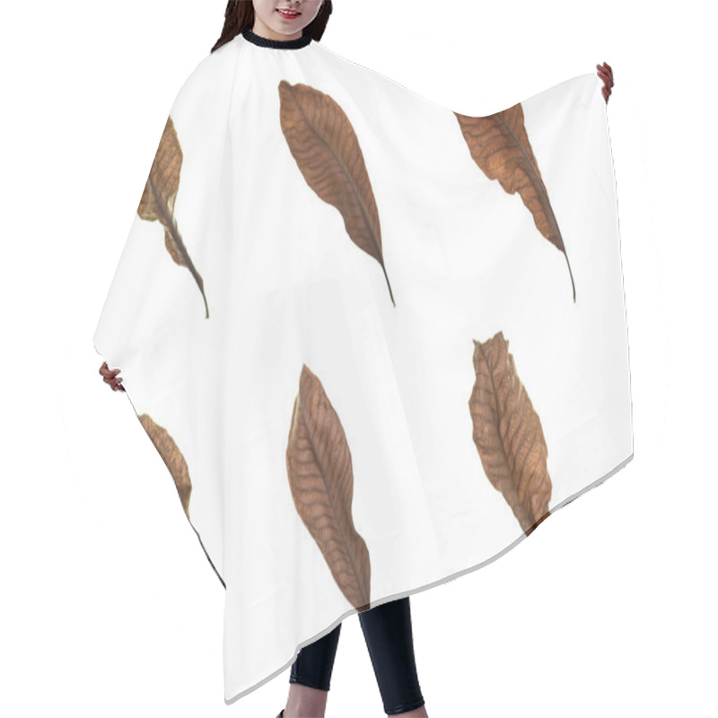 Personality  Set Of Dry Leaves On White Background Hair Cutting Cape