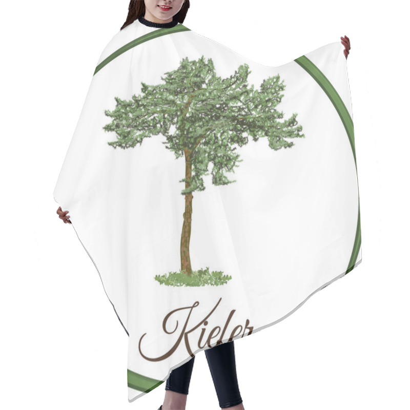 Personality  Pine Tree As Vector Drawn Conifer Evergreen Hair Cutting Cape