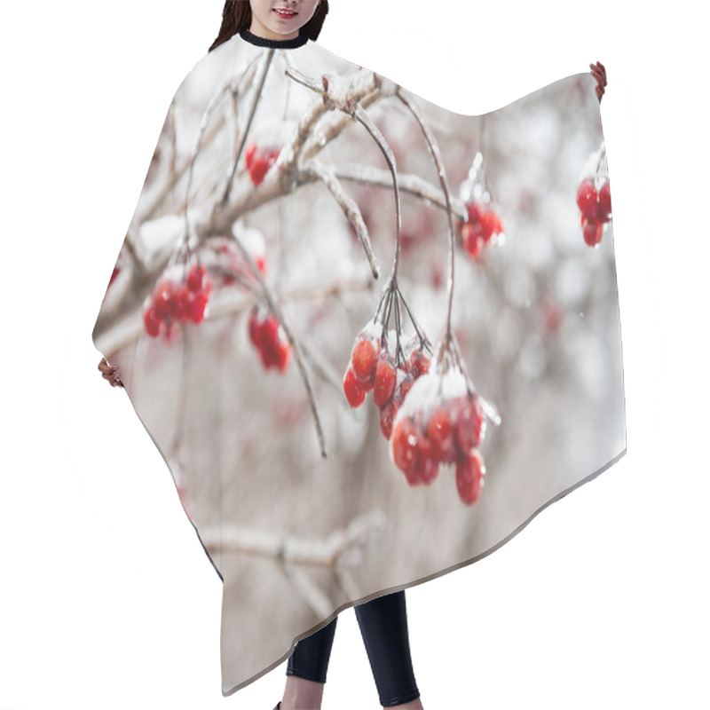 Personality  Red Rowan Tree In Winter Forest Hair Cutting Cape