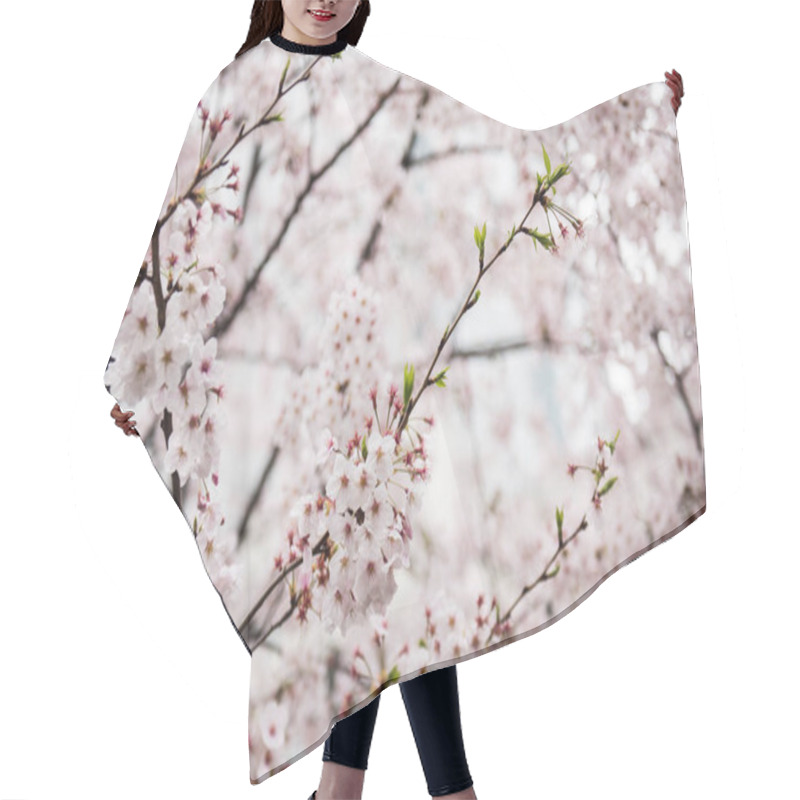 Personality  Beautiful Cherry Flowers On Tree Hair Cutting Cape