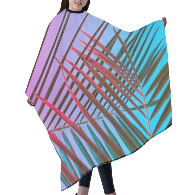 Personality  Tropical And Palm Leaves In Vibrant Bold Gradient Holographic Neon  Colors, Concept Art, Minimal Surrealism Background  Hair Cutting Cape