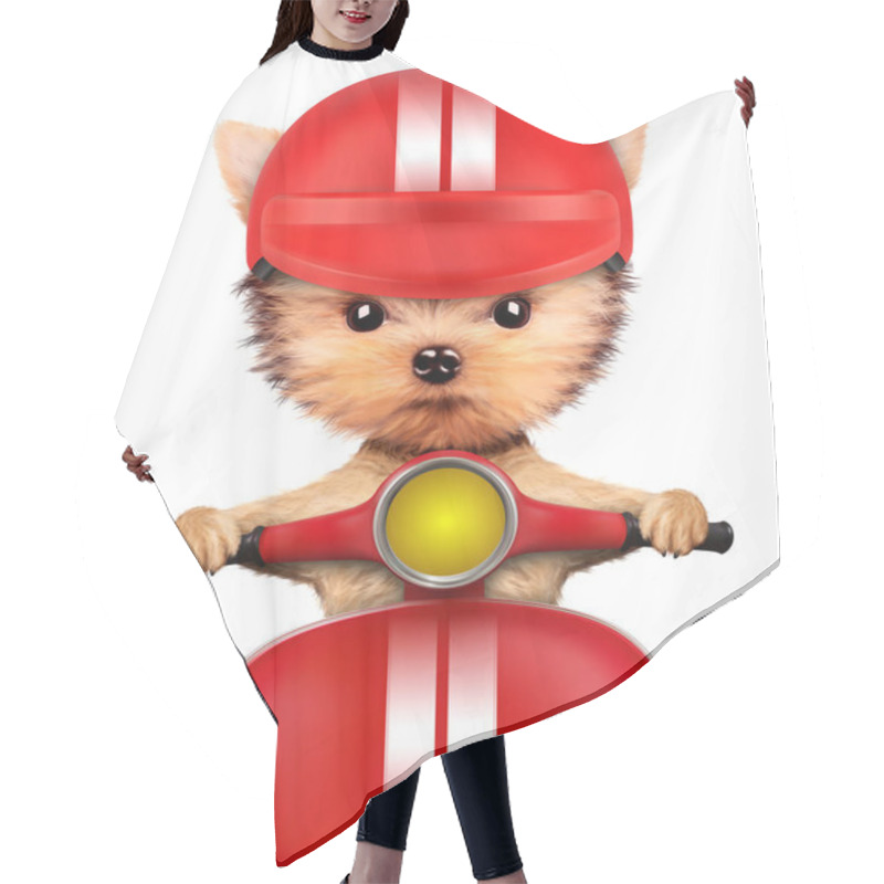 Personality  Adorable Puppy Sitting On A Motorbike Hair Cutting Cape