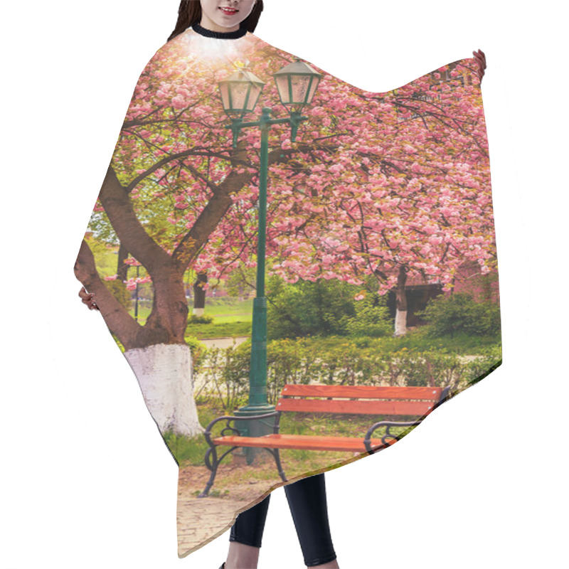 Personality  Pink Blossomed Sakura Tree Near The Bench And Lantern Hair Cutting Cape