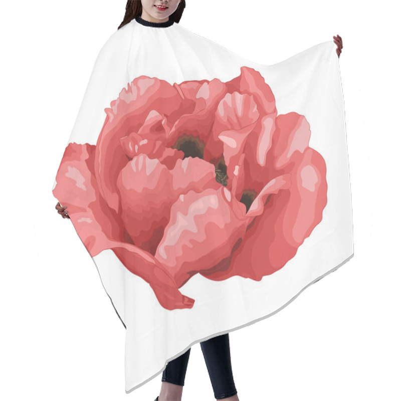 Personality  Beautiful Plant Paeonia Arborea (Tree Peony) White Flower Isolated On White Background. Hair Cutting Cape