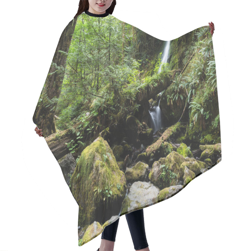 Personality  Merriman Falls In Lake Quinault Valley - Olympic Peninsula, WA, USA Hair Cutting Cape