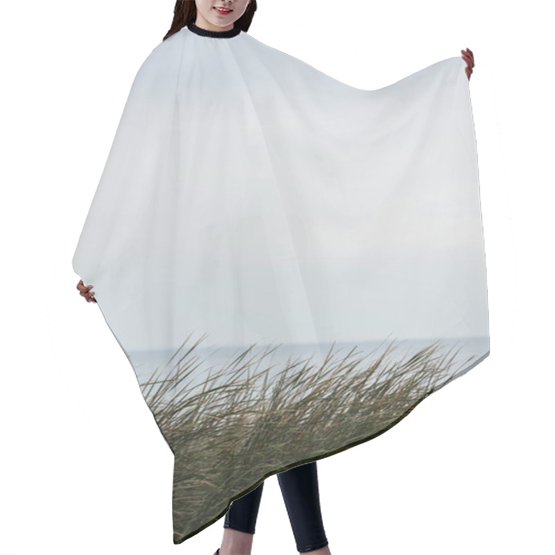 Personality  Calm Sea With Grassweed On Foreground Hair Cutting Cape