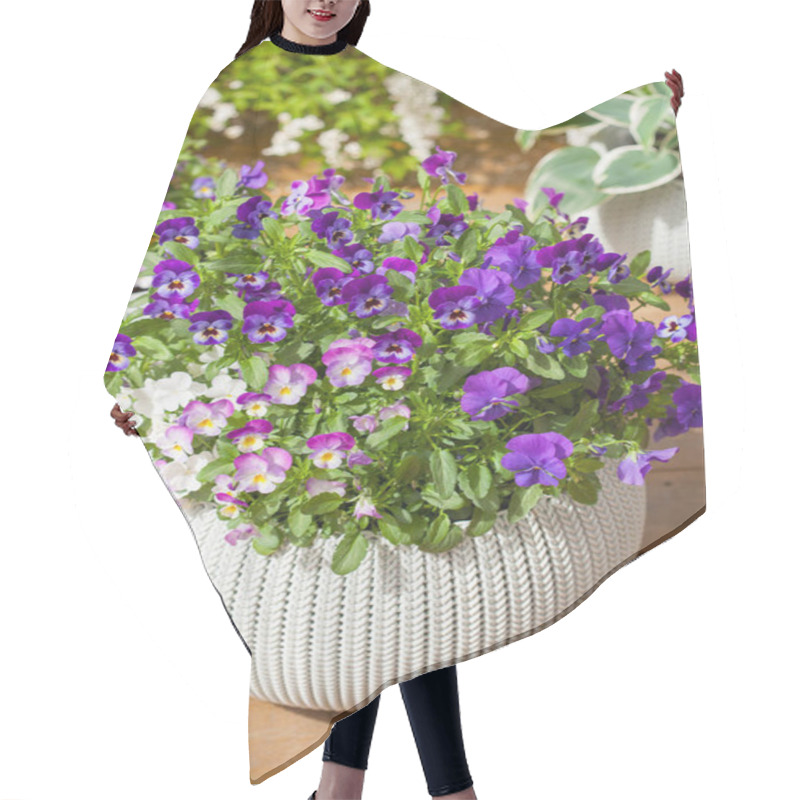 Personality  Beautiful Pansy Summer Flowers In Flowerpots In Garden Hair Cutting Cape