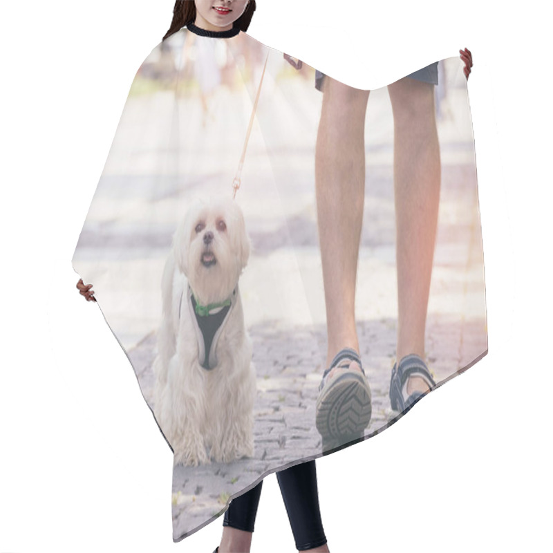 Personality  Man Walking With Dog Hair Cutting Cape