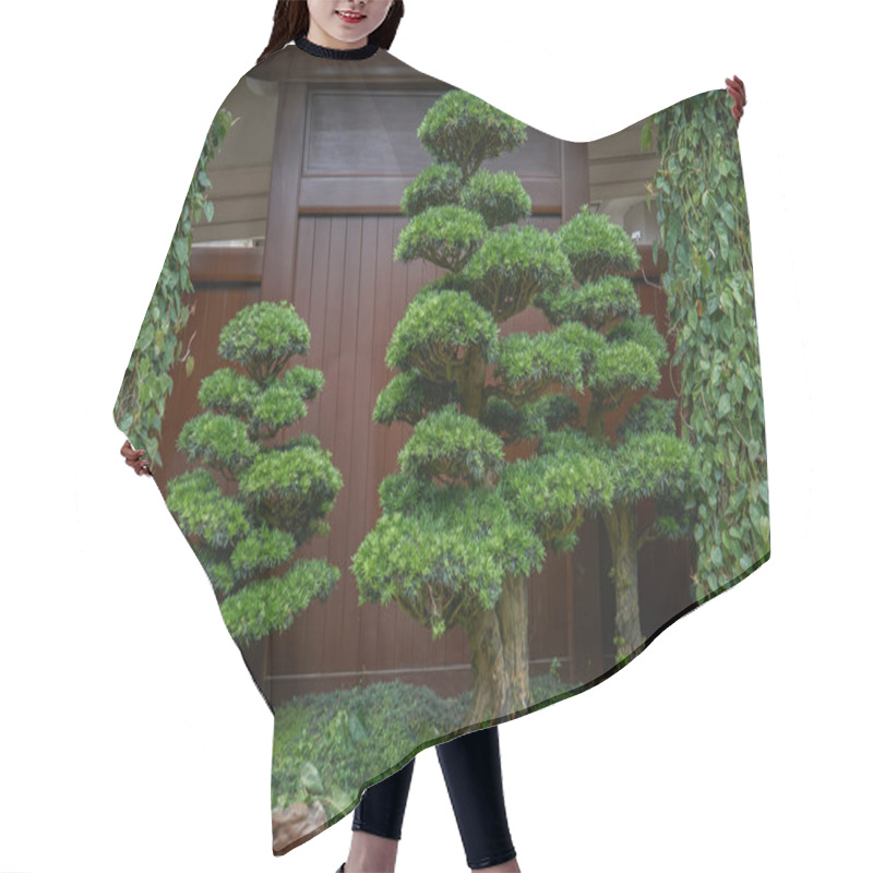 Personality  Japanese Welcoming Pine Landscape Hair Cutting Cape