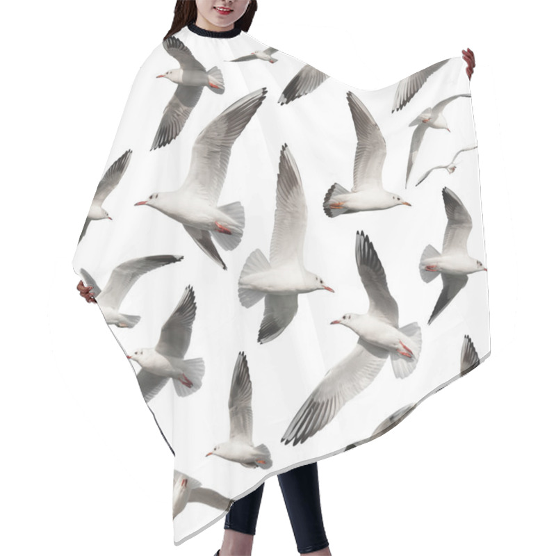 Personality  Bird Collection On White Hair Cutting Cape