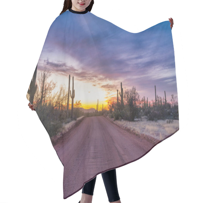 Personality  Dirt Road Leading Through Saguaro Cacti At Sunset In The Sonoran Desert In Arizona.  Hair Cutting Cape