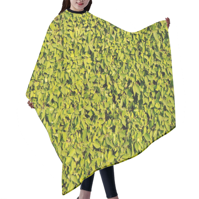 Personality  Foliage Texture Hair Cutting Cape