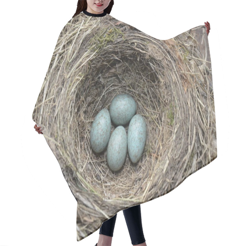 Personality  Natural Nest And Blue Eggs Of A Song Thrush In The Meadow Hair Cutting Cape