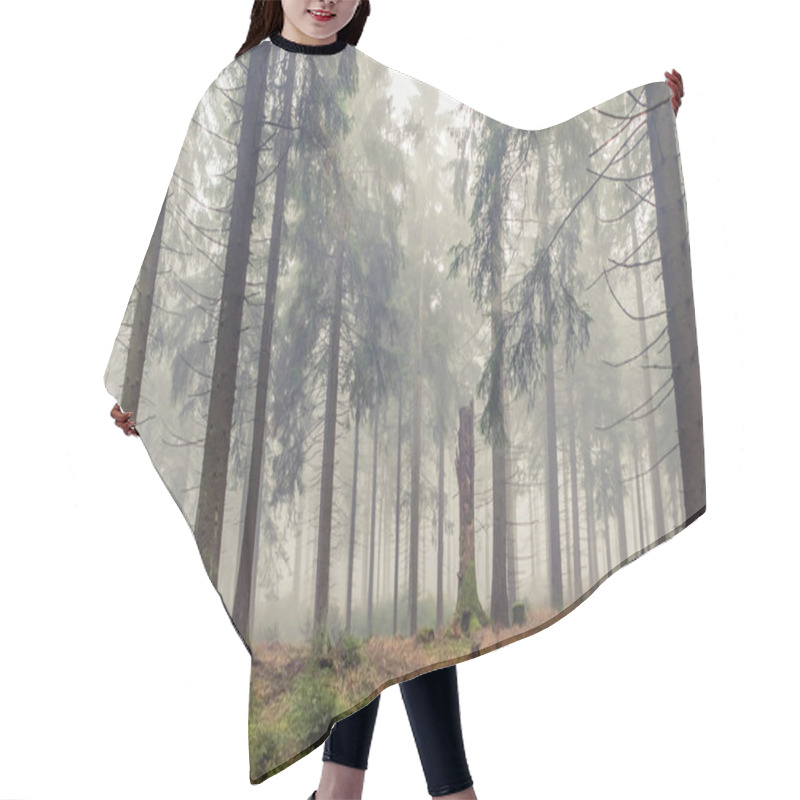 Personality  Foggy Evergreen Forest At Morning Time In The Autumn Hair Cutting Cape