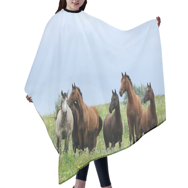 Personality  Herd Of Wild Horses On The Field Hair Cutting Cape