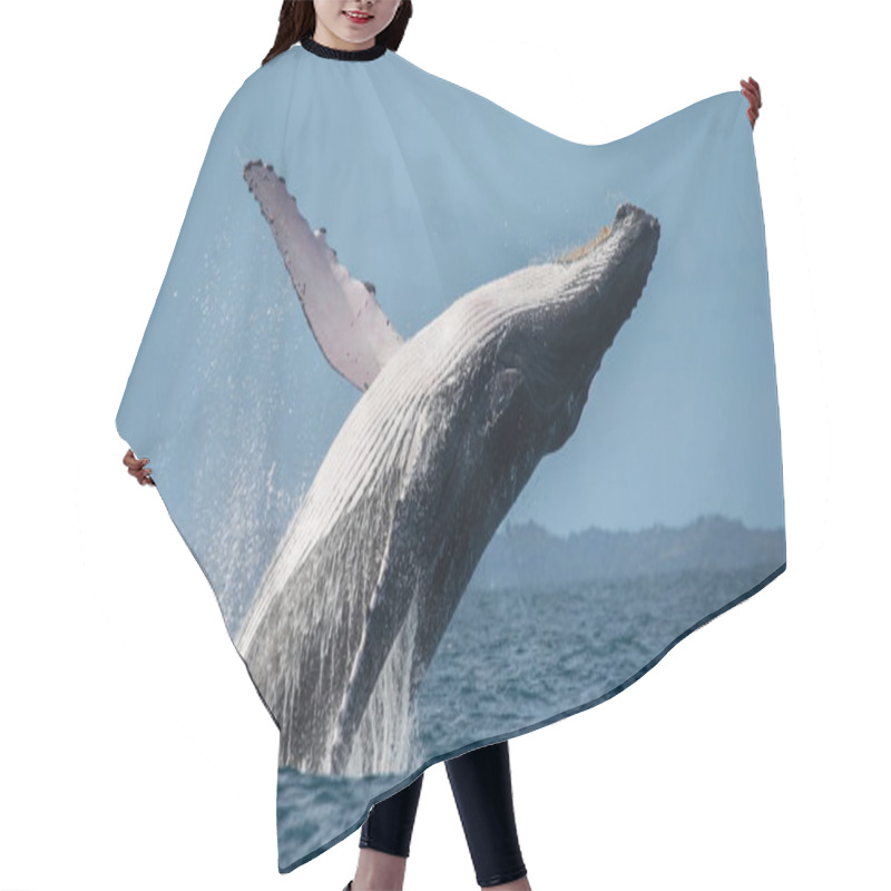 Personality  Humpback Whale Jumping Out Of The Water Hair Cutting Cape