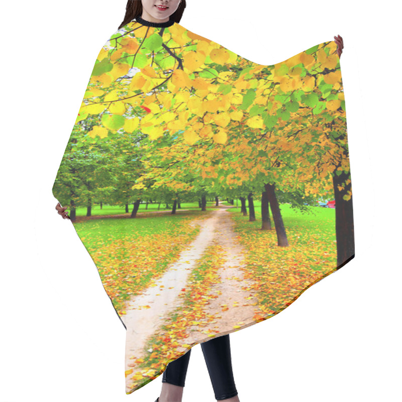 Personality  Beautiful Alley In Autumn Park Hair Cutting Cape