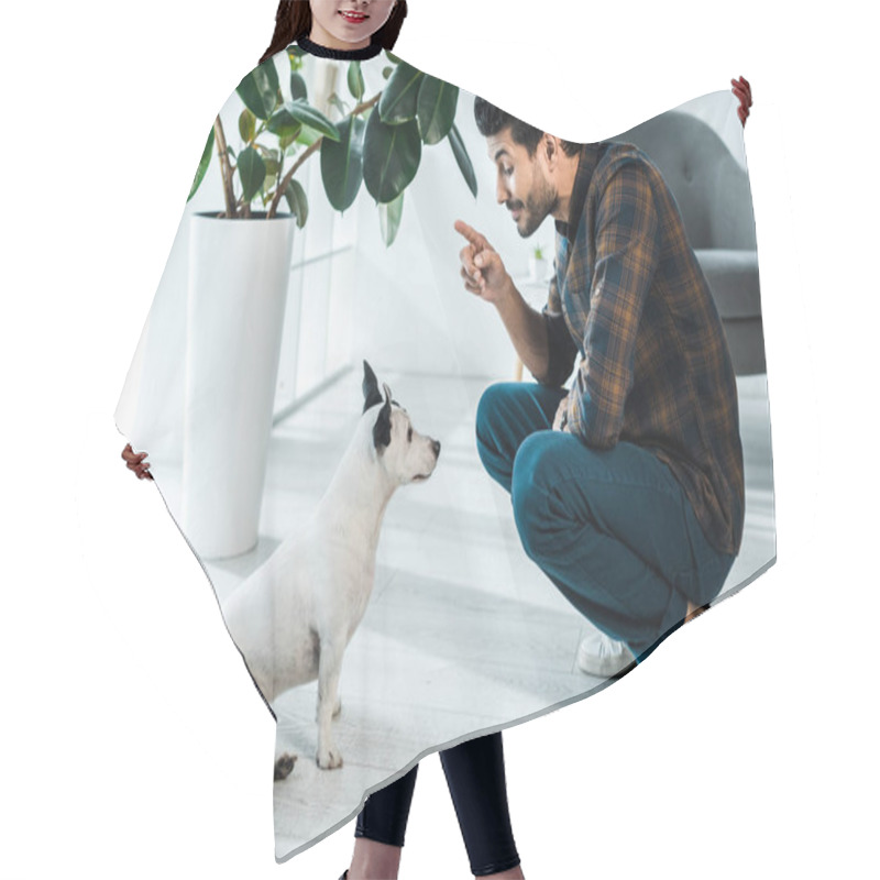 Personality  Side View Of Handsome Bi-racial Man Training Jack Russell Terrier Hair Cutting Cape