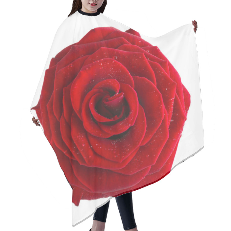 Personality  Beautiful Red Rose Hair Cutting Cape