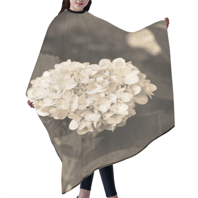 Personality  Hydrangeas Flowers Hair Cutting Cape