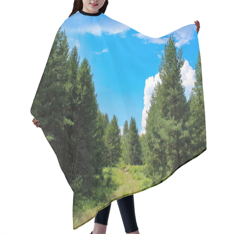 Personality  Banner. The Forest. A Wild Road Through The Forest. Perfect Summer Landscape. A Beautiful Day With A Few White Clouds In The Sky. Hair Cutting Cape