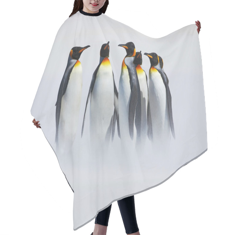 Personality  Group Of King Penguins Hair Cutting Cape