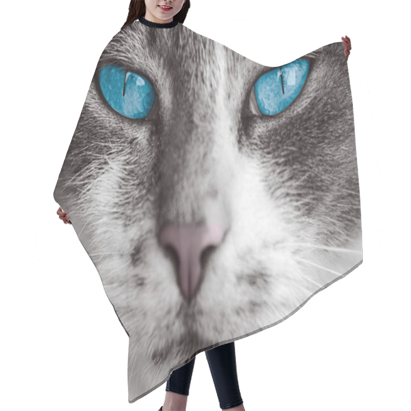 Personality  Cat With Blue Eyes Hair Cutting Cape