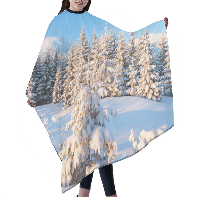 Personality  Winter Fir In First Morning Sunbeams Hair Cutting Cape