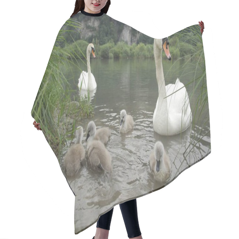 Personality  Family Of Swans Swimming In Lake Hair Cutting Cape