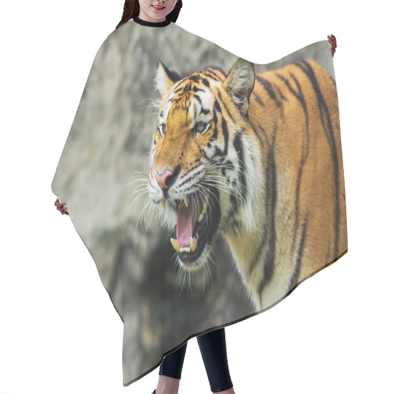 Personality  Tiger Hair Cutting Cape