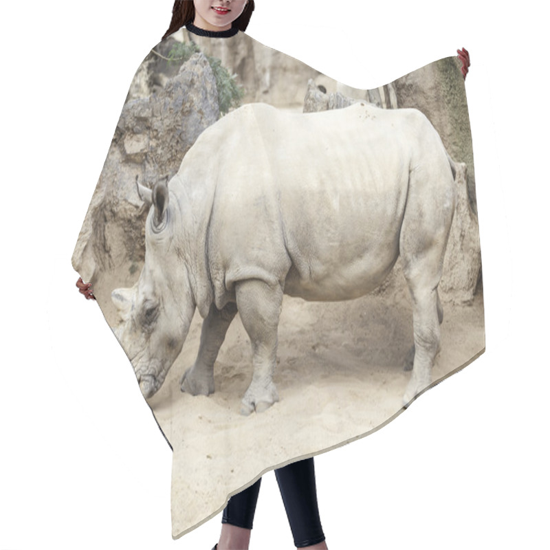 Personality  Southern White Rhinoceros Hair Cutting Cape