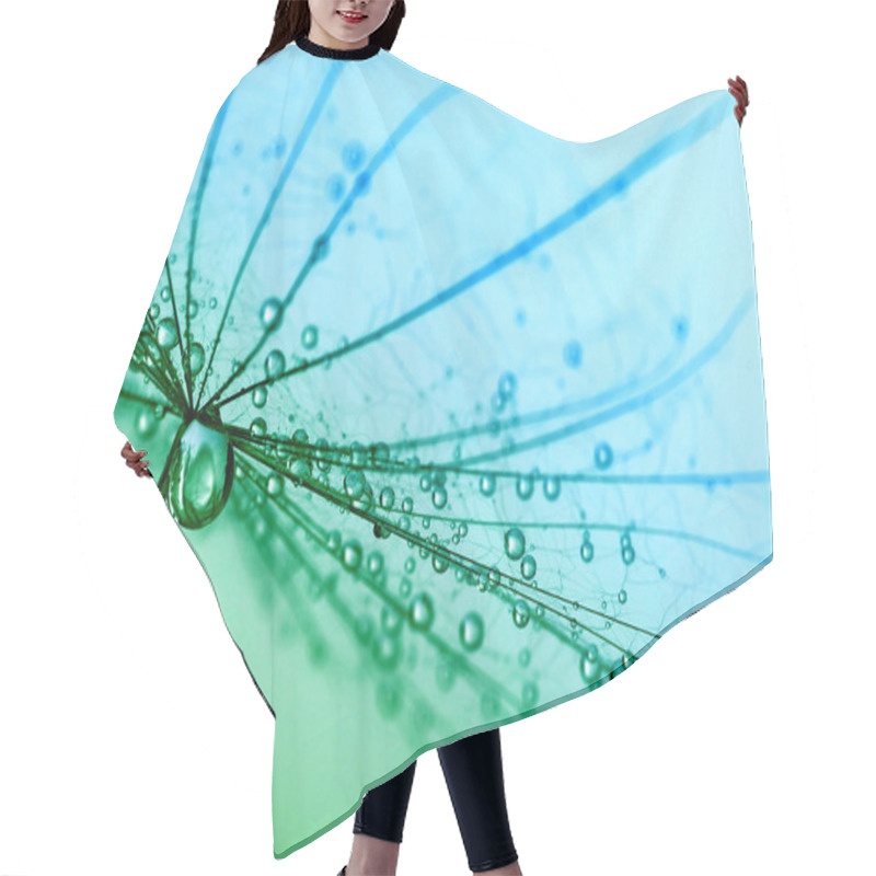 Personality   Dandelion Seeds  Hair Cutting Cape