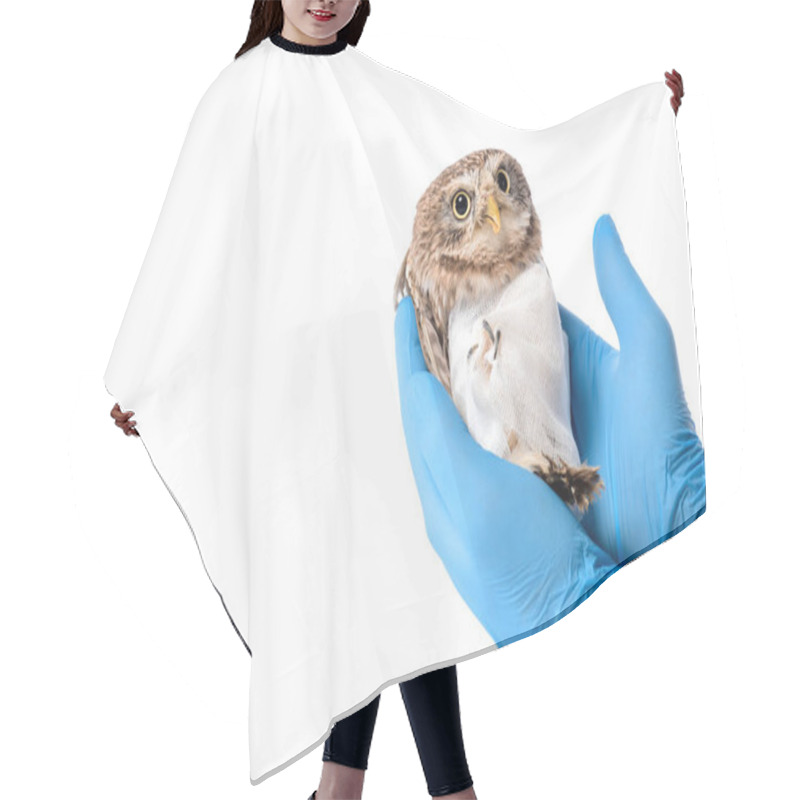 Personality  Cropped View Of Veterinarian Holding Wild Injured Owl Isolated On White Hair Cutting Cape