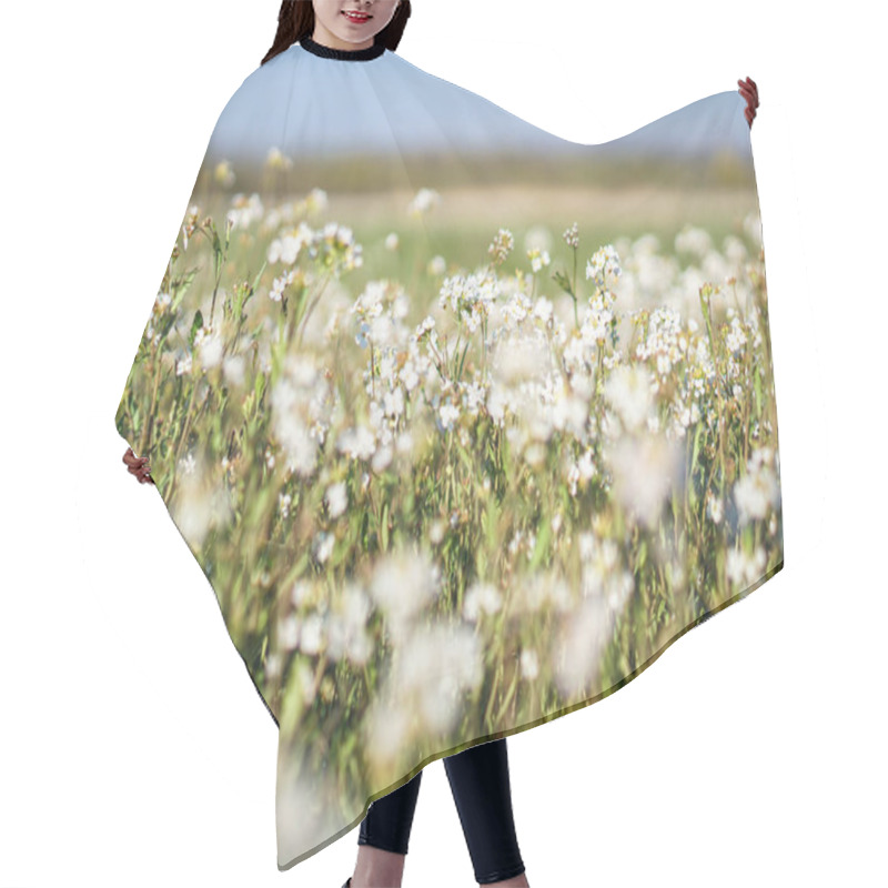 Personality  Beautiful Blooming Flowers On A Large Spring Meadow. April Flower In The Sun. Stock Background In Nature With Green Grass Hair Cutting Cape