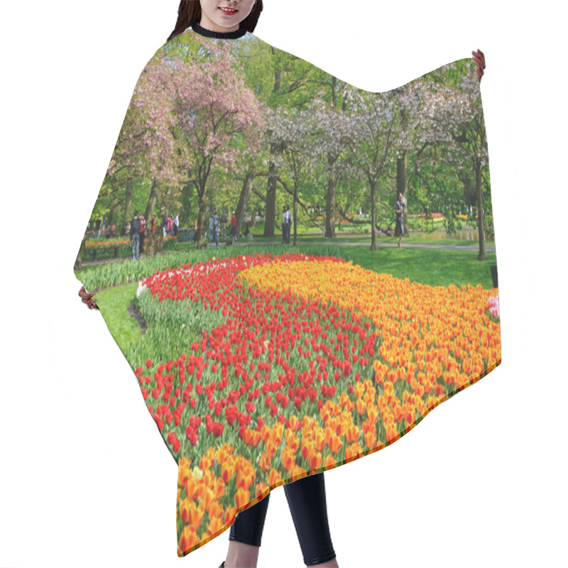 Personality  Red And Orange Tulips In Keukenhof Park In Holland Hair Cutting Cape